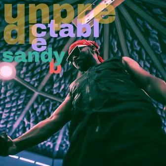 Unpredictable by Sandy B