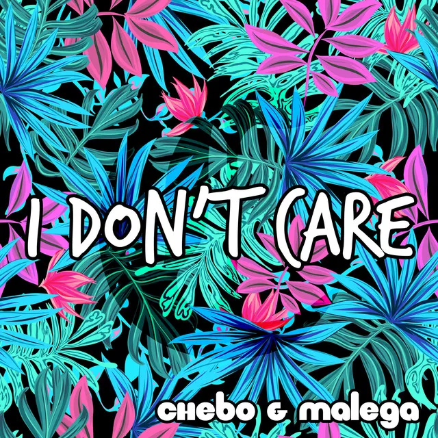 I Don't Care