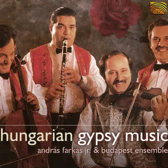 Hungarian Gypsy Music by Budapest Ensemble