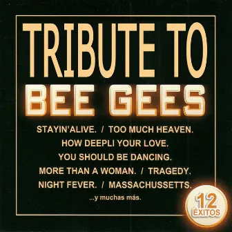 Tribute To Bee Gees by Latin Sound Group