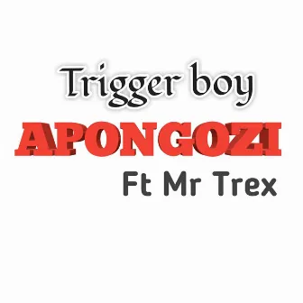 Apongozi by Trigger boy