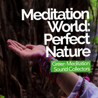 Meditation World: Perfect Nature by Unknown Artist