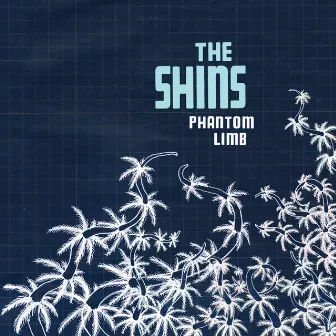 Phantom Limb by The Shins