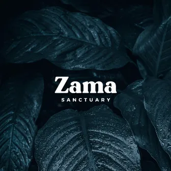 Relaxing Forest Rain by Zama Sanctuary