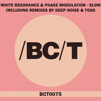 Slow by Phase Modulation