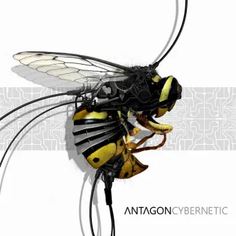 Cybernetic by Antagon