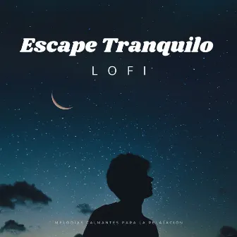 Escape Tranquilo Lofi: Melodías Calmantes Para La Relajación by Perra total relajarse