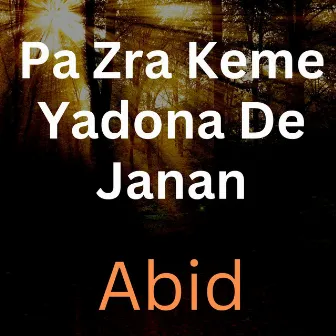 Pa Zra Keme Yadona De Janan by Abid