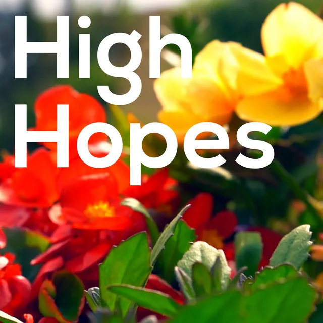 High Hopes