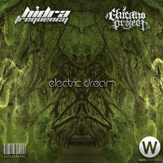 Electric Dream by Chicano Project