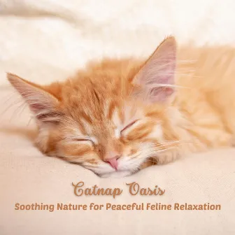 Catnap Oasis: Soothing Nature for Peaceful Feline Relaxation by Feel The Nature