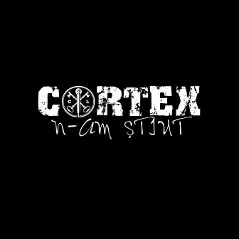 N-am știut (Instrumental) by Cortex