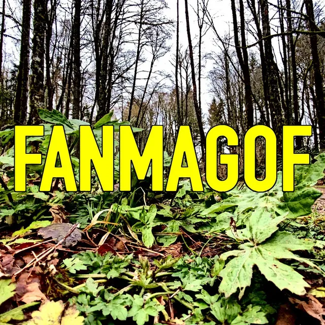 Fanmagof