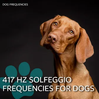 417 Hz Solfeggio Frequencies for Dogs by Dog Therapy Zone