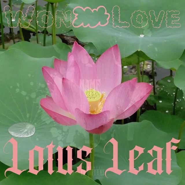 Lotus leaf