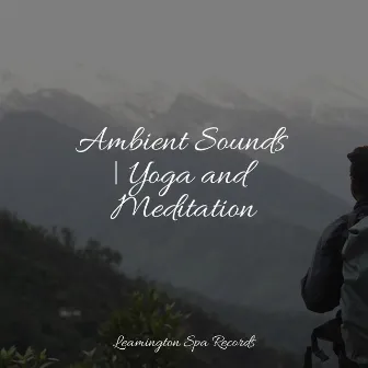 Ambient Sounds | Yoga and Meditation by Unknown Artist