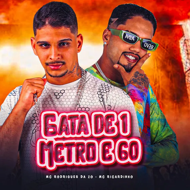 Gata de 1 Metro e 60