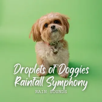 Rain Sounds: Droplets of Doggies Rainfall Symphony by Dogs