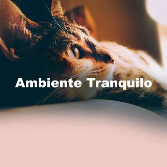 Ambiente Tranquilo by Música para el sueño profundo