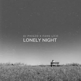 Lonely Night by Fame Lico