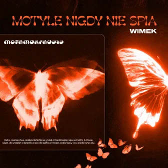 MOTYLE NIGDY NIE ŚPIĄ by wimek