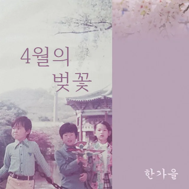 4월의 벚꽃 - Inst.