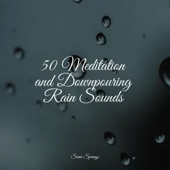 50 Meditation and Downpouring Rain Sounds by Academia de Meditação Buddha