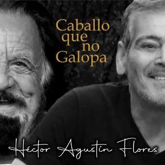 Caballo que no Galopa by Hector Agustin Flores