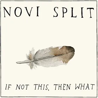 If Not This, Then What by Novi Split