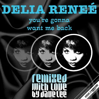 You're Gonna Want Me Back (Dave Lee ZR Remixes) by Delia Renee