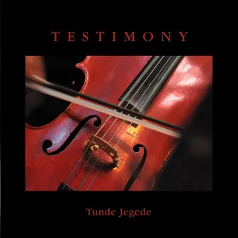 Testimony by Tunde Jegede