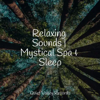 Relaxing Sounds | Mystical Spa & Sleep by Rainfall For Sleep