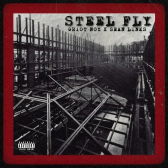 STEEL FLY by Griot Noy