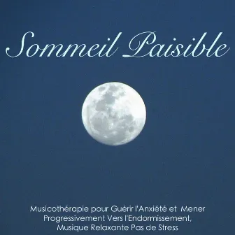 Sommeil Paisible – Musicothérapie pour Guérir l'Anxiété et Mener Progressivement Vers l'Endormissement, Musique Relaxante Pas de Stress by Musique d'Ambiance Ensemble