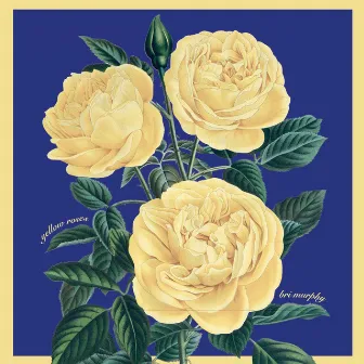 Yellow Roses by Bri Murphy