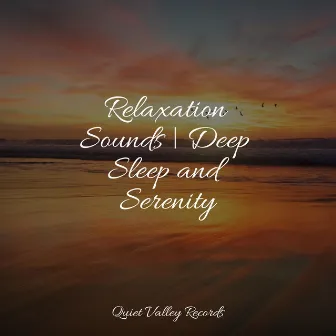 Relaxation Sounds | Deep Sleep and Serenity by Cascada de Lluvia