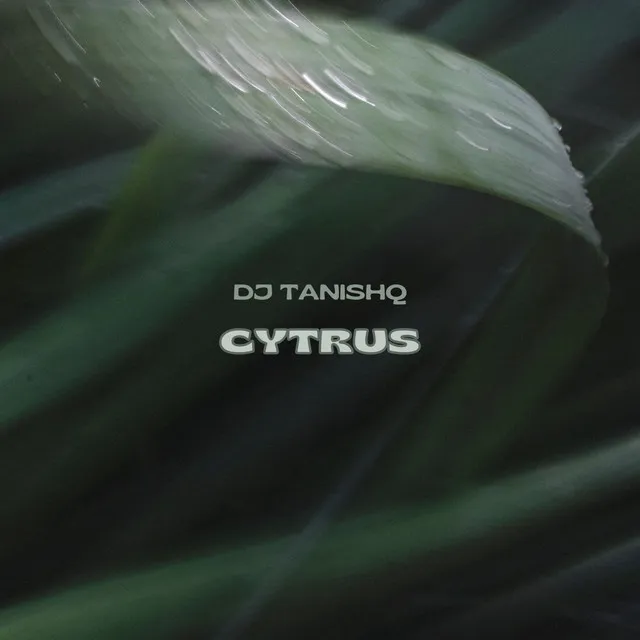 Cytrus