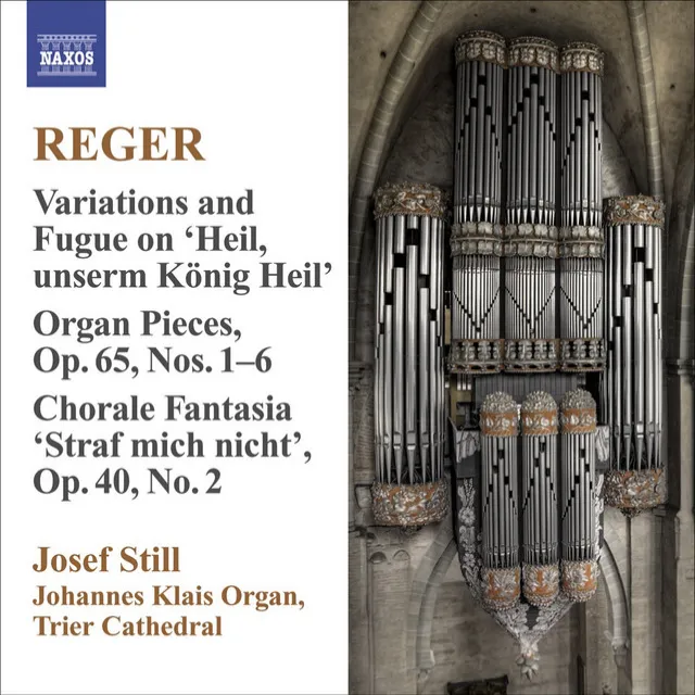 Reger, M.: Organ Works, Vol. 9