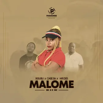 Malome(Amapiano) [Original] by Case SA