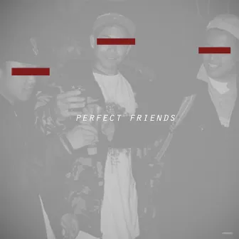 Perfect Friends by AM Kidd