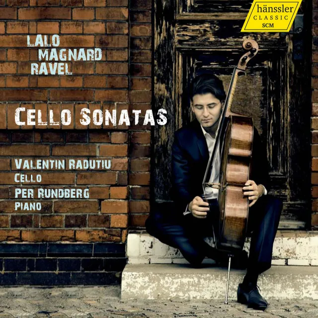 Cello Sonata: I. Andante non troppo