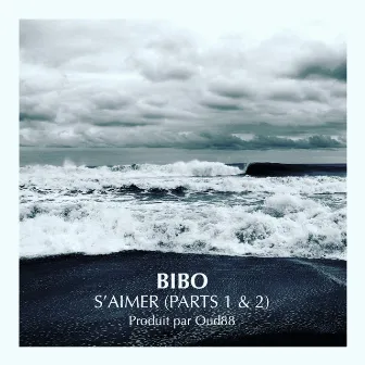 S'Aimer (Parts 1 & 2) by Bibo