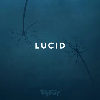 Lucid by Triegy