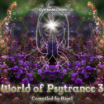 World Of Psytrance, Vol. 3 by Rigel