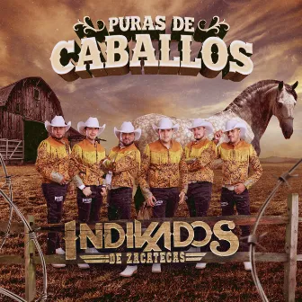 Puras de Caballos by Indikados de Zacatecas