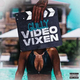 Video Vixen by Gully