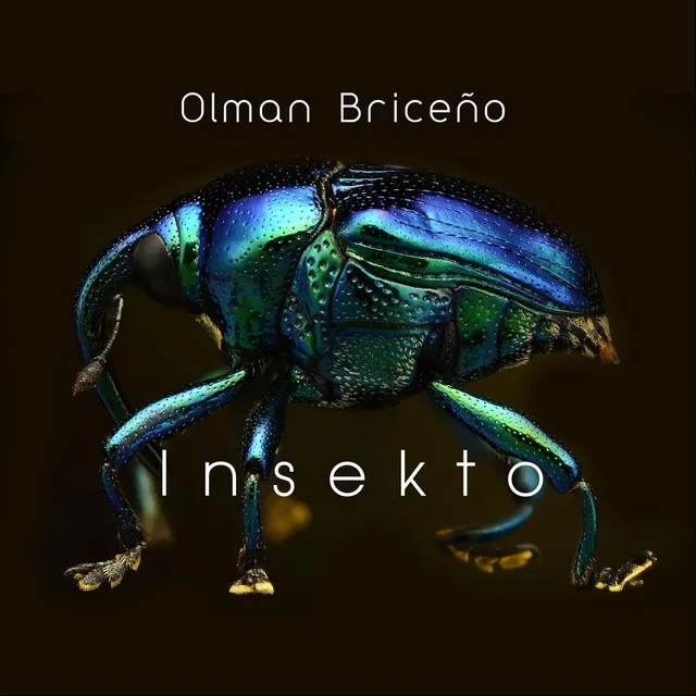 Insekto