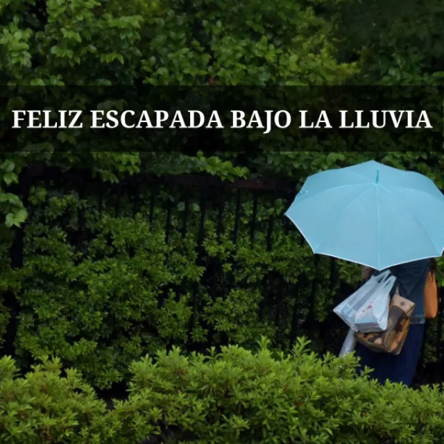 Feliz Escapada Bajo La Lluvia