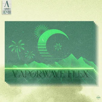 Vaporwave Flex by BVNKZ