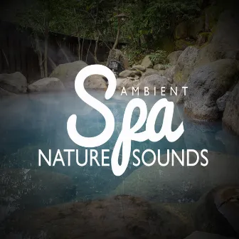 Ambient Spa Nature Sounds by Spa Music